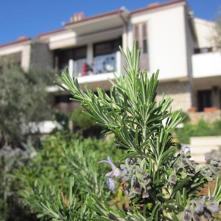 Apartments Palma & Pino Cres Dış mekan fotoğraf