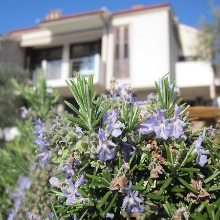 Apartments Palma & Pino Cres Dış mekan fotoğraf