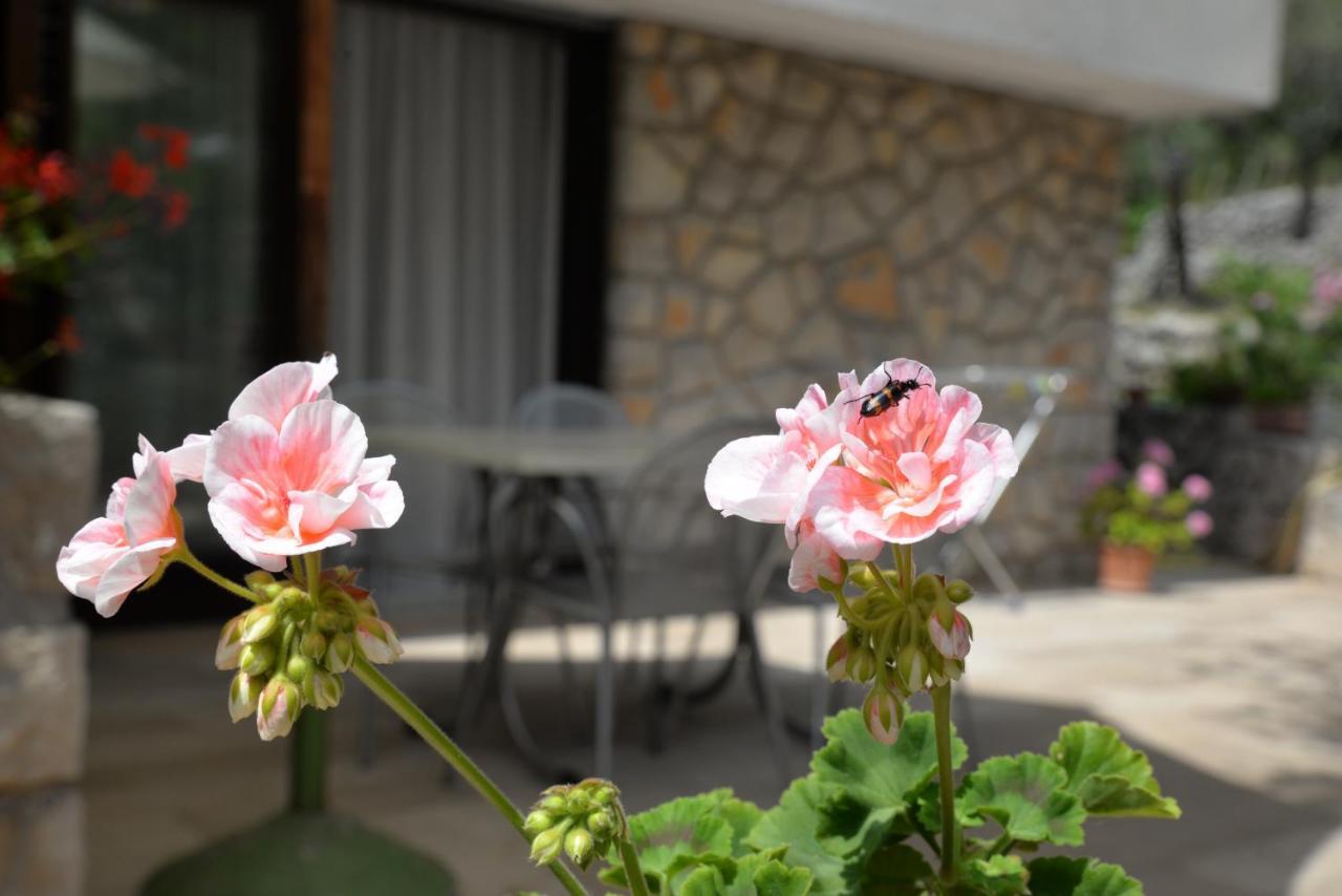 Apartments Palma & Pino Cres Dış mekan fotoğraf