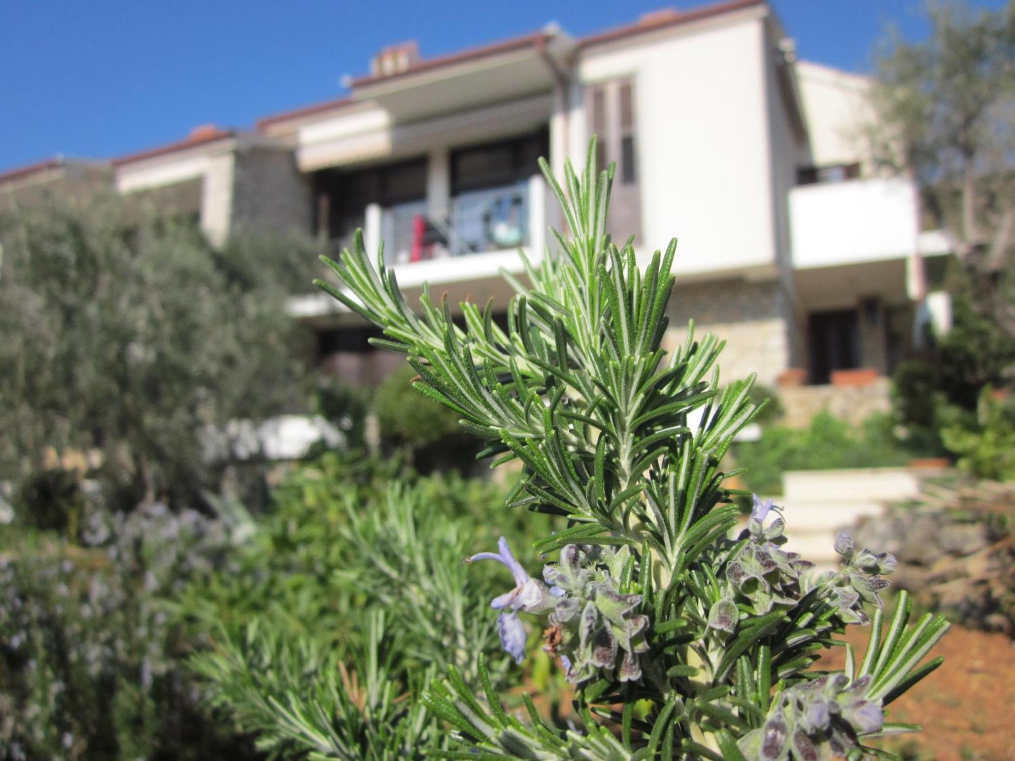 Apartments Palma & Pino Cres Dış mekan fotoğraf